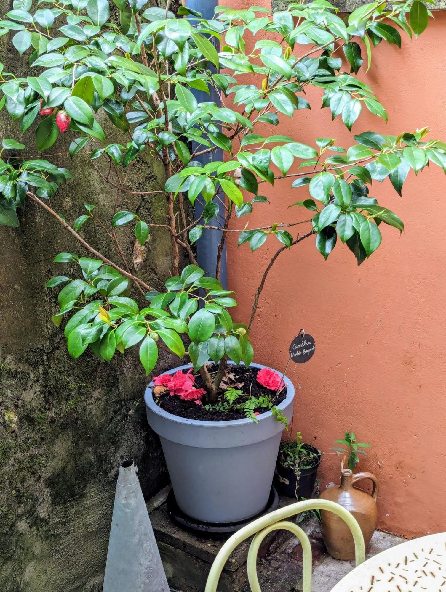 Artist Home - City Center - Bathtub - Terrasse - Full Appartment Rouen Esterno foto